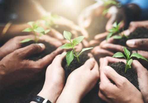 People,,Teamwork,And,Hands,With,Sprout,In,Soil,For,Sustainability,